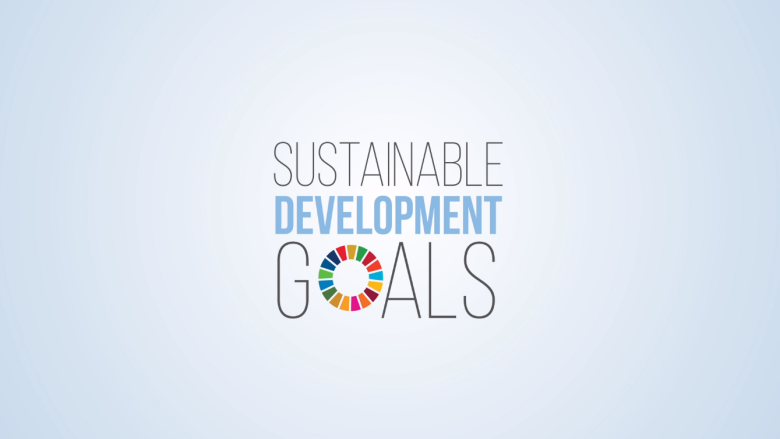 Taxation and the Sustainable Development Goals