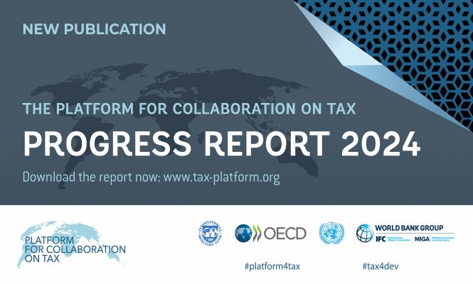 Platform for Collaboration on Tax Progress Report 2024